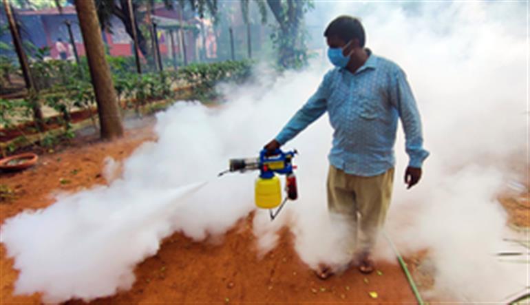 France confirms 1st locally transmitted chikungunya case in 2025