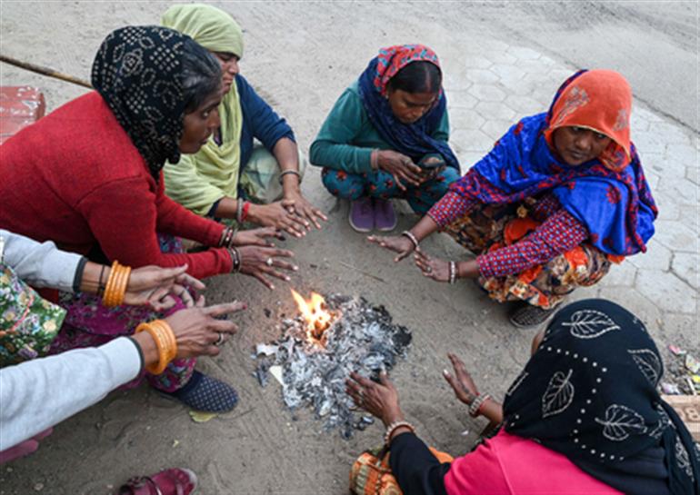 राजस्थान के कुछ हिस्सों में शीतलहर का अलर्ट जारी, तापमान में भारी गिरावट