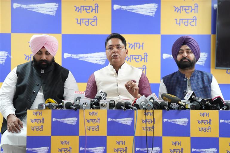 अदालत ने अरविंद केजरीवाल के विरुद्ध भाजपा के झूठ के पुलिंदे का पर्दाफाश किया: अमन अरोड़ा