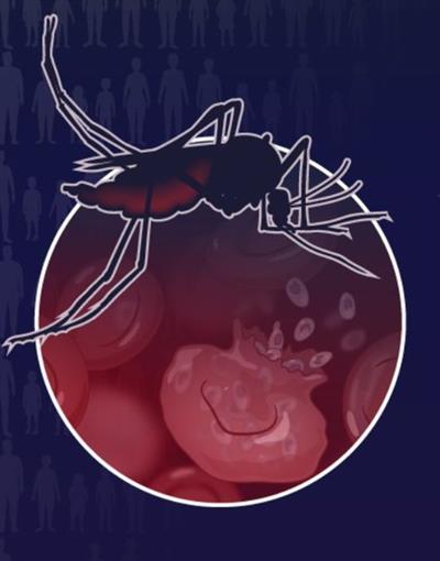 2024 ਵਿੱਚ ਮਲੇਰੀਆ ਕਾਰਨ 6 ਲੱਖ ਤੋਂ ਵੱਧ ਜਾਨਾਂ ਗਈਆਂ, ਡਰੱਗ ਪ੍ਰਤੀਰੋਧ ਇੱਕ ਵੱਡਾ ਖ਼ਤਰਾ: WHO