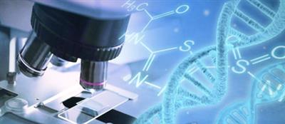 ਭਾਰਤੀ ਵਿਗਿਆਨੀਆਂ ਨੇ ਜੈਨੇਟਿਕ ਬਿਮਾਰੀਆਂ, ਕੈਂਸਰ ਦੇ ਇਲਾਜ ਲਈ ਜੀਨ ਸੰਪਾਦਨ ਨੂੰ ਉਤਸ਼ਾਹਿਤ ਕਰਨ ਲਈ CRISPR ਪ੍ਰੋਟੀਨ ਤਿਆਰ ਕੀਤਾ