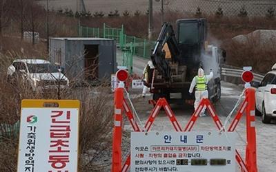 ਦੱਖਣੀ ਕੋਰੀਆ ਵਿੱਚ 2 ਮਹੀਨਿਆਂ ਵਿੱਚ ਪਹਿਲਾ ਅਫਰੀਕੀ ਸਵਾਈਨ ਬੁਖਾਰ ਦਾ ਮਾਮਲਾ ਸਾਹਮਣੇ ਆਇਆ