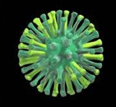 चेन्नई में बर्ड फ्लू का अलर्ट: केंद्र ने तमिलनाडु से सामूहिक कौवों की मौत के बाद निवारक उपायों को तेज करने का आग्रह किया